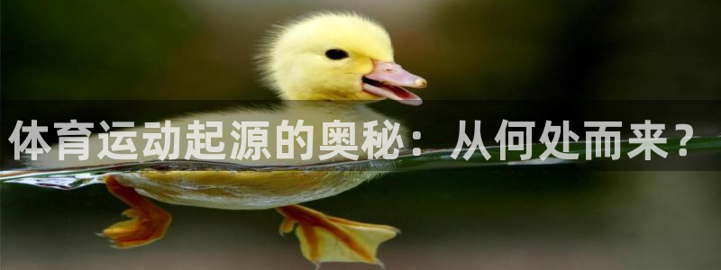 bbin视讯