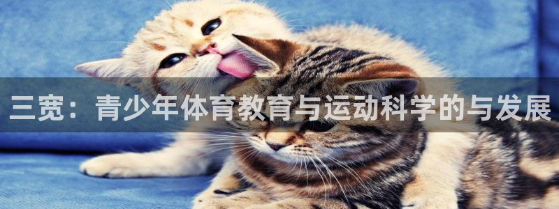 bbin视讯下