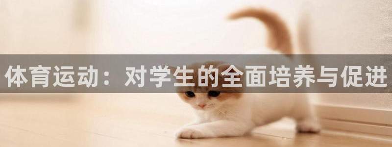 bbin视讯游戏平台
