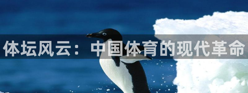 bbin视讯