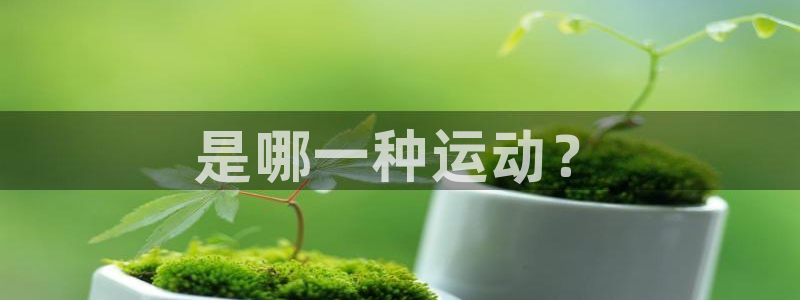 bbin视讯