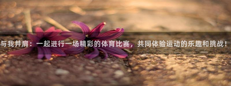 bbin视讯游戏平台