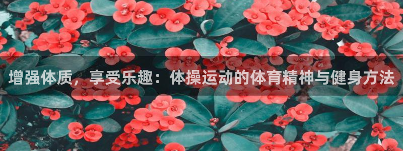 bbin视讯游戏平台