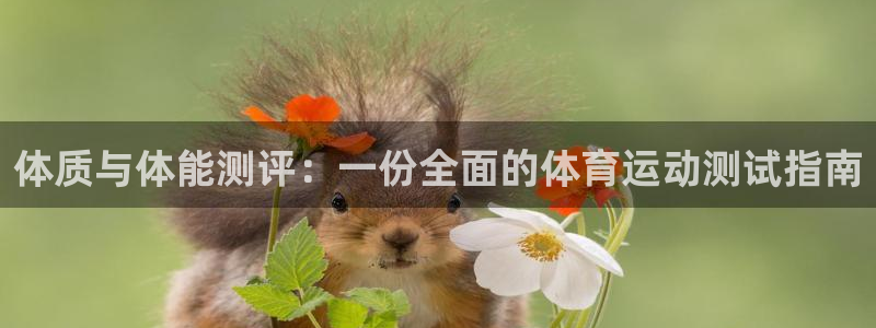 bbin视讯游戏官网