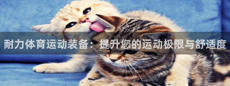 bbin视讯