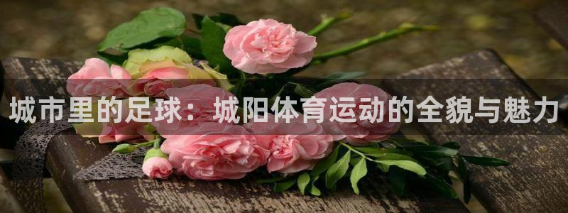 bbin视讯游戏官网