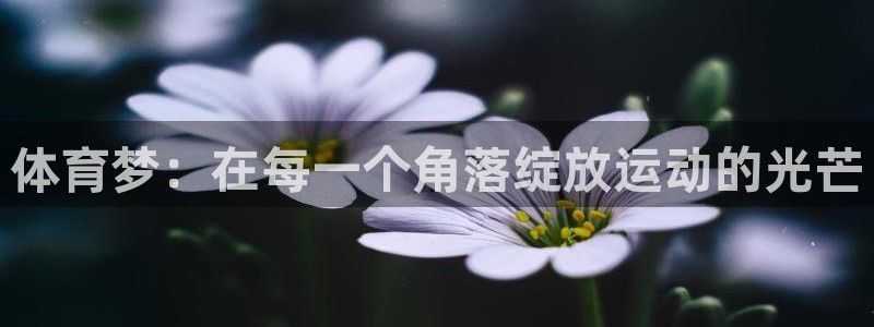 bbin视讯下