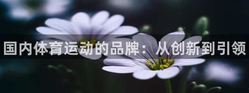 bbin视讯游戏平台