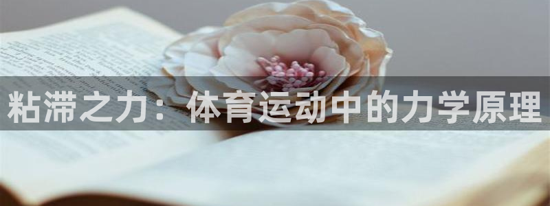 bbin视讯下
