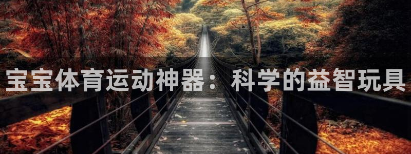 bbin视讯下
